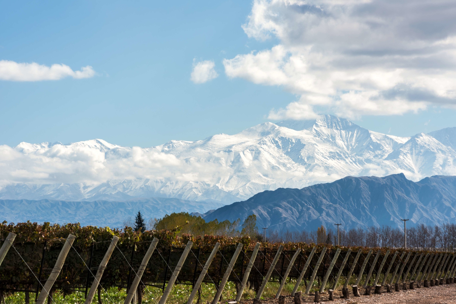 vignes-aconcagua