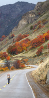 Coyhaique, Route Australe