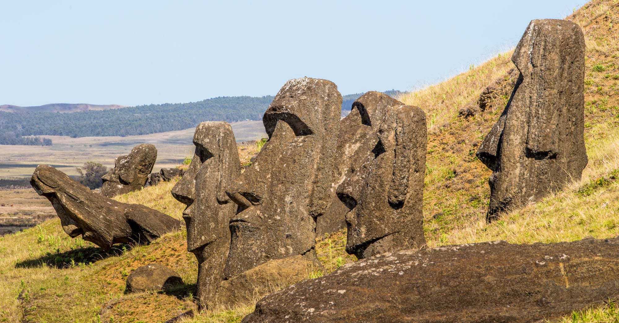 Statue Ile de Paques. Moaïs dans le Parc National de Rapa Nui, l'Ile de Paques.