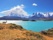 Parc National de Torres del Paine en Patagonie Chilienne. Un beau guanaco se promène au bord du lac Pehoe.