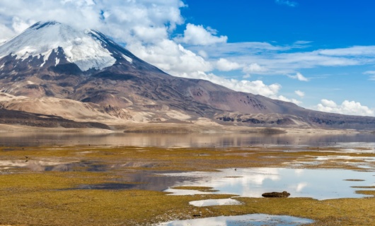 Parc national de Lauca, Chili. Volcan enneigé dans l'Altiplano chilien