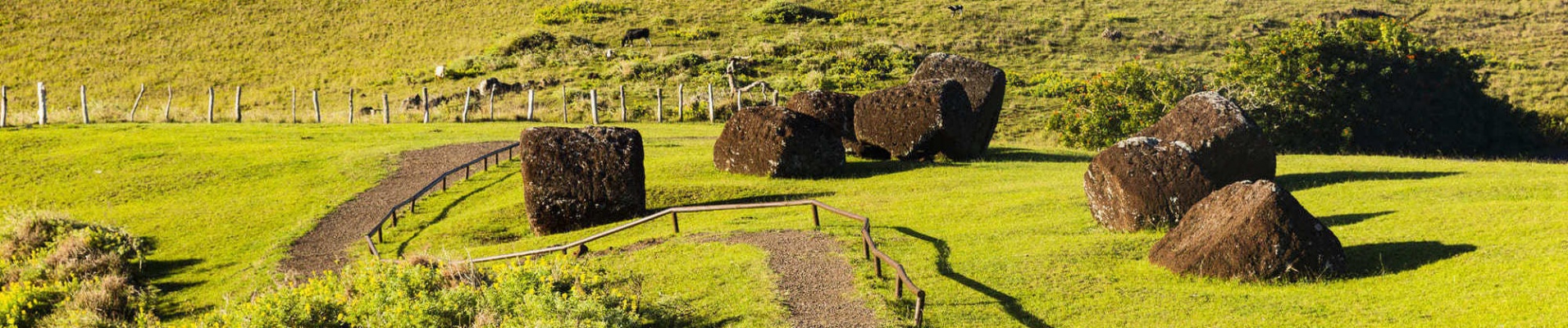 Ile de Pâques, colline verdoyante