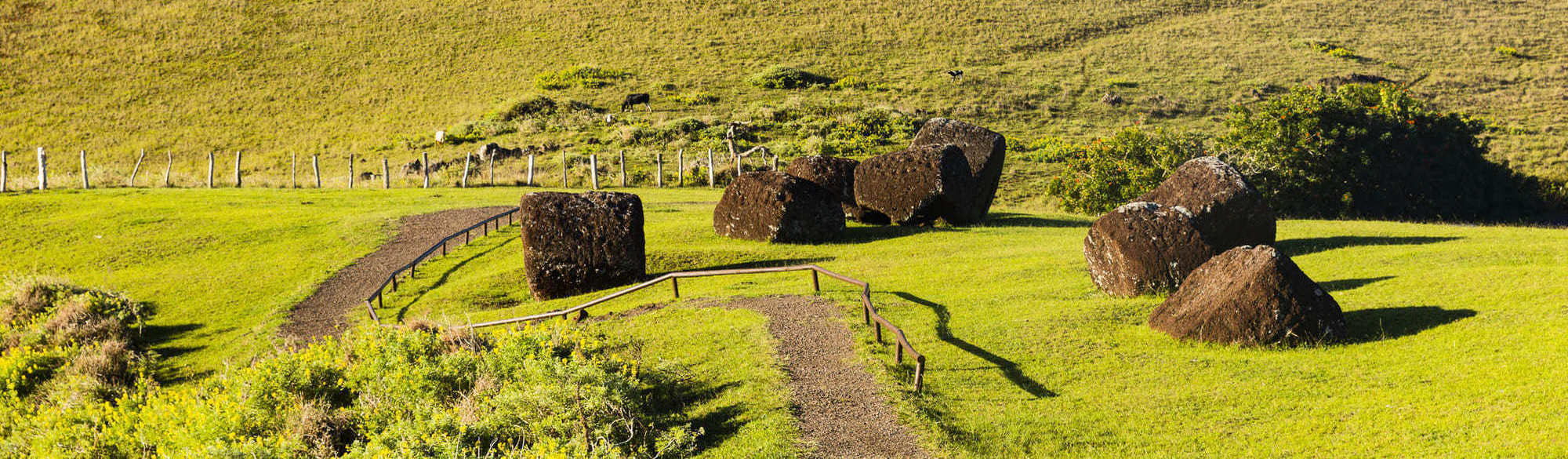 Ile de Pâques, colline verdoyante