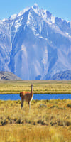 Perito Moreno, Parc National, Argentine, Patagonie