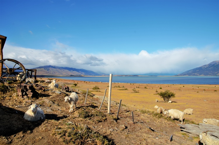 Estancia en Argentine