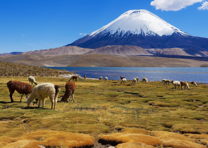 Lac Chungara et volcan Parinacota, Lauca