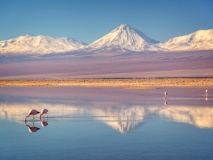 Salar d'Atacama, Chili