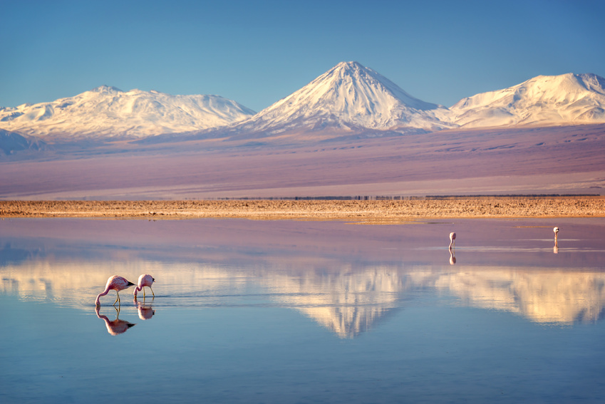 Salar d'Atacama, Chili