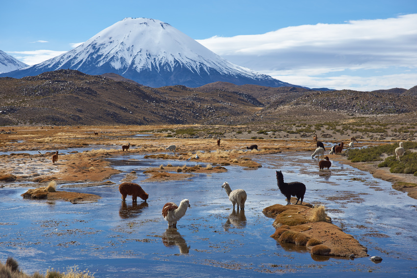 Volcan Parinacota, parc Lauca, Chili