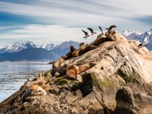 Canal de Beagle, Ushuaia