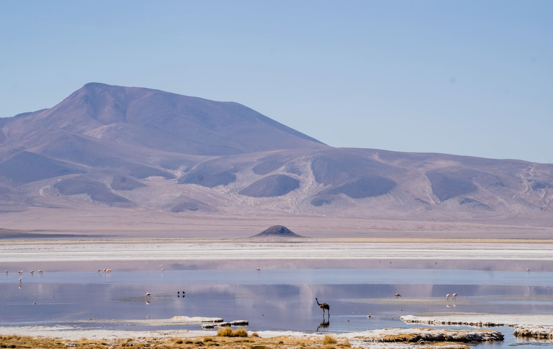 Salar de Huasco