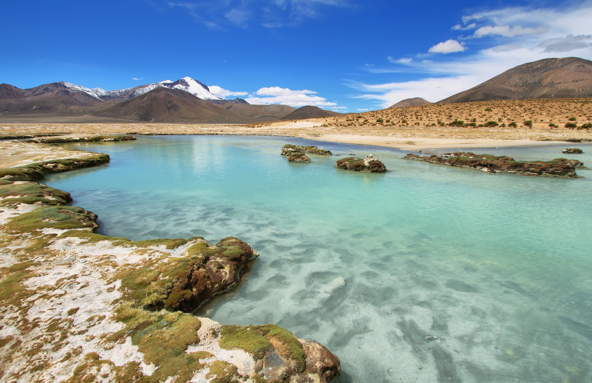 salar-de-surire
