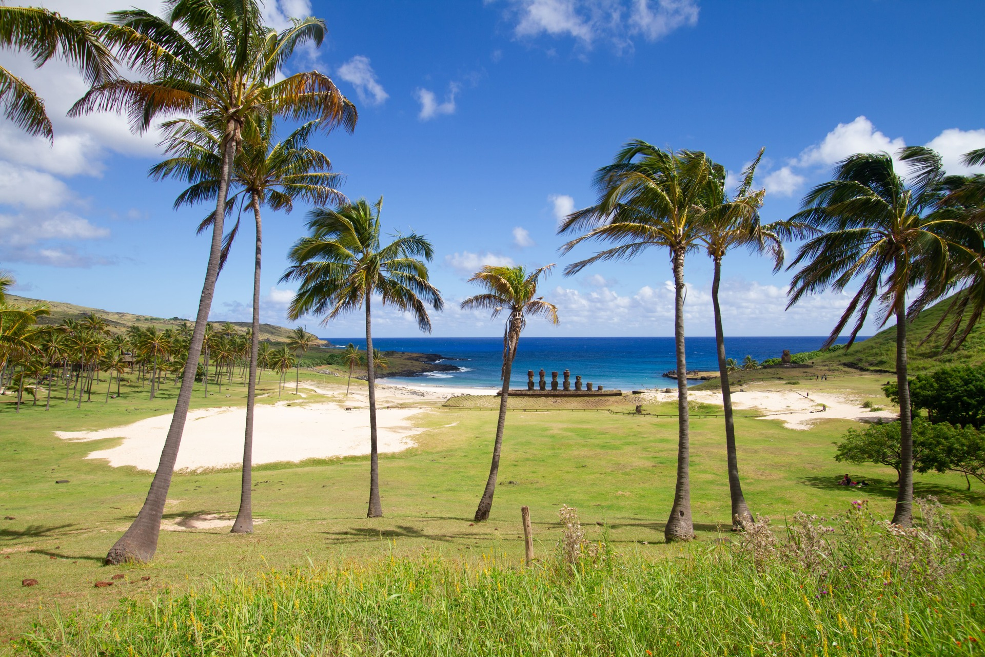 moai-anakena